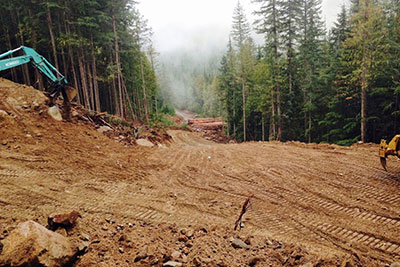Right-of-Way Harvesting is the first step in building forest roads.