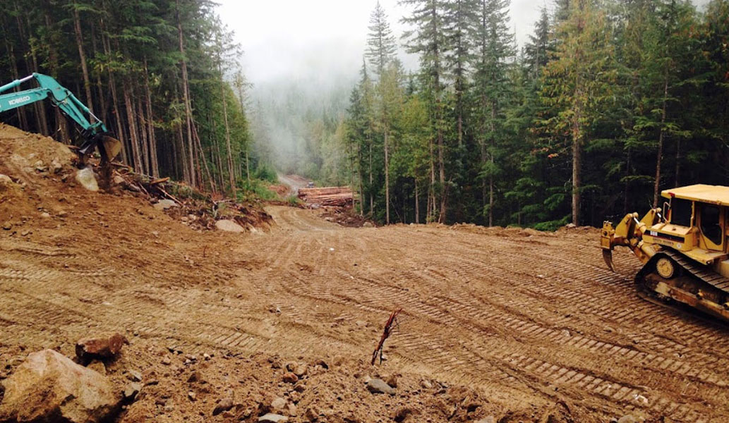 Our Okanagan Ironworx forestry crews are seasoned veterans.